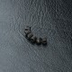 DISC.. Set screw M3X3 (6)