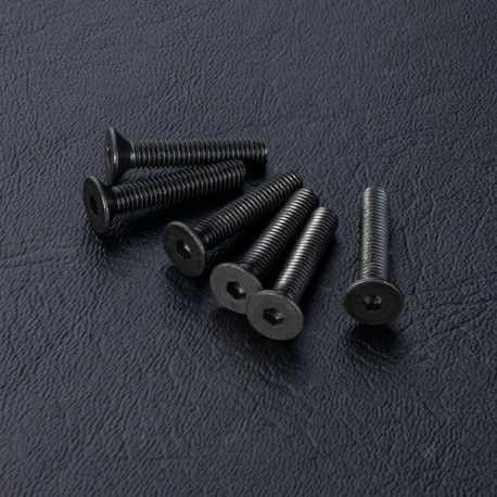 DISC.. Countersunk screw M3X16 (6)