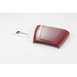 1/10 Mashigan - hood