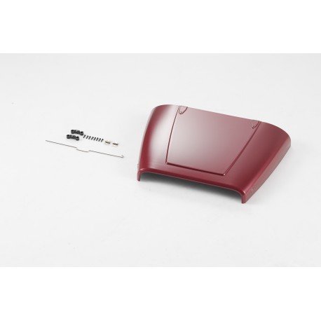 1/10 Mashigan - hood