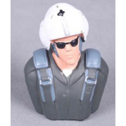 DISC.. Pilot 48x68x93 for 1400mm T28