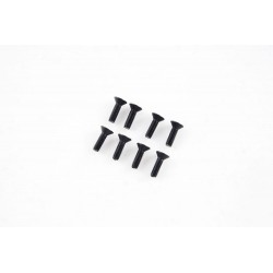 1/7 U4 Funhaver  - Flat Head Screws M3*10 (APSC71147)