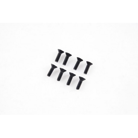 1/7 U4 Funhaver  - Flat Head Screws M3*10 (APSC71147)