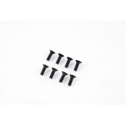 1/7 U4 Funhaver  - Flat Head Screws M4*12 (APSC71149)