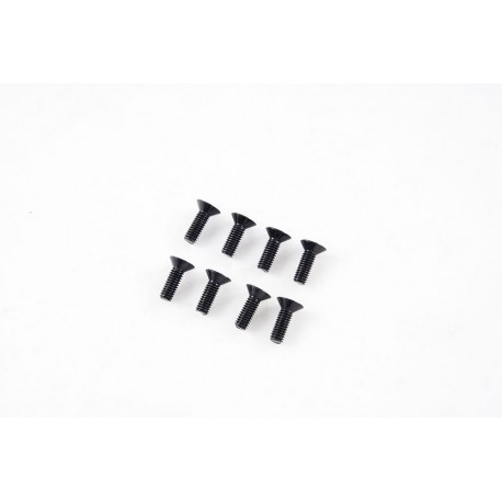 1/7 U4 Funhaver  - Flat Head Screws M4*12 (APSC71149)