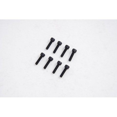 1/7 U4 Funhaver  - Cap Head Screws M2.5*10 (APSC71141)