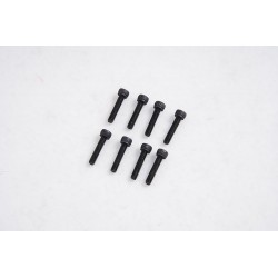 1/7 U4 Funhaver  - Cap Head Screws M2.5*12 (APSC71142)