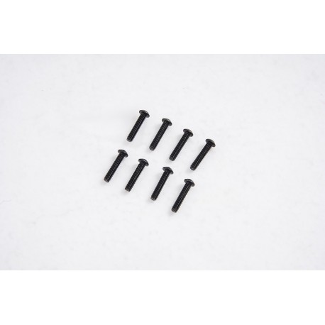 1/7 U4 Funhaver  - Button Head Screws M2.5*12 (APSC71134)