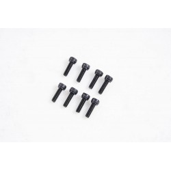 1/7 U4 Funhaver  - Cap Head Screws M3*10 (APSC71143)
