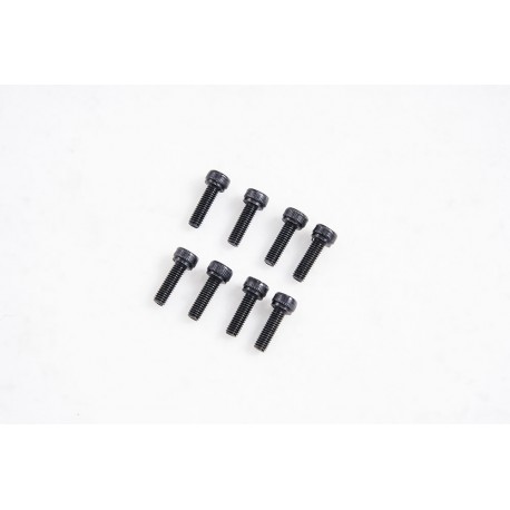1/7 U4 Funhaver  - Cap Head Screws M3*10 (APSC71143)