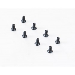 1/10 Canyon - YK10 Flat Head Hex Screw M2.5*6 (APSC21144)