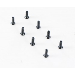 1/10 Canyon - YK10 Flat Head Hex Screw M2.5*8 (APSC21145)