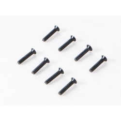 1/10 Canyon - YK10 Flat Head Hex Screw M3*16 (APSC21149)