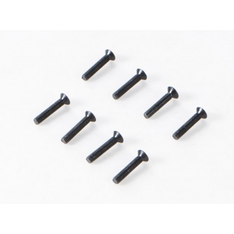 1/10 Canyon - YK10 Flat Head Hex Screw M3*16 (APSC21149)