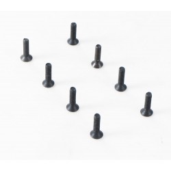 1/10 Canyon - YK10 Flat Head Hex Screw M3*12 (APSC21148)