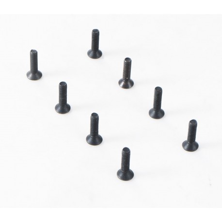 1/10 Canyon - YK10 Flat Head Hex Screw M3*12 (APSC21148)