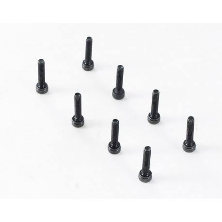 1/10 Canyon - YK10 Cap Head Hex Screw M3*14 (APSC21151)