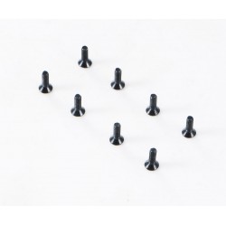 1/10 Canyon - YK10 Flat Head Hex Screw M3*10 (APSC21147)