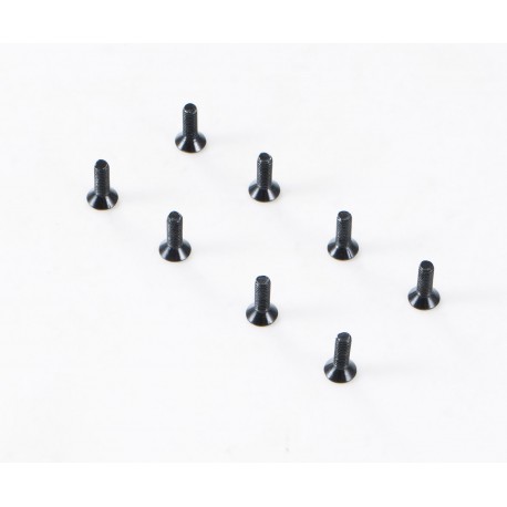 1/10 Canyon - YK10 Flat Head Hex Screw M3*10 (APSC21147)