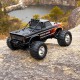 1/10 Ford F100 RS Black Brushless RTR car kit