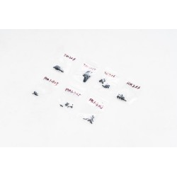 1/18 Sierra - SCREW SET