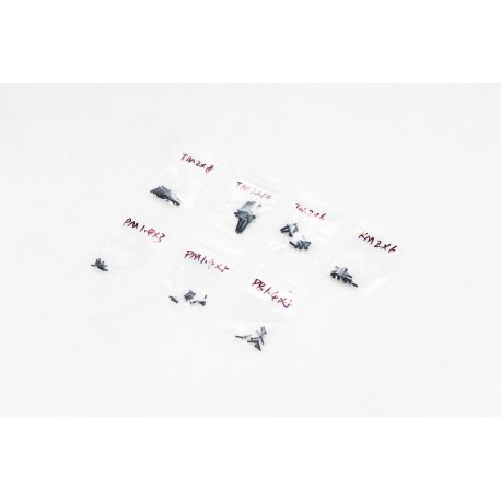 1/18 Sierra - SCREW SET