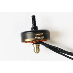 4018-KV900 motor